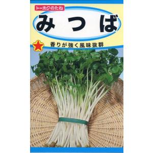 ミツバの種　みつば　4ml　品番1349　種子　たね