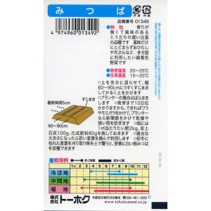 ミツバの種 みつば 4ml 品番1349 種子 たねの詳細画像1