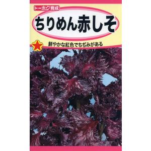 ミックスの種 サラダレタスミックス5 5ml 品番3477 種子 たね : 園芸