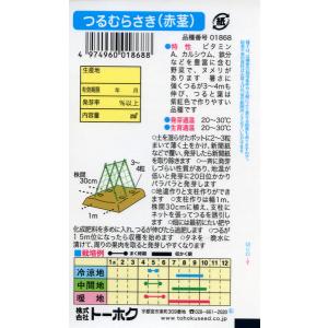 ツルムラサキの種 つるむらさき (赤茎) 2m...の詳細画像1