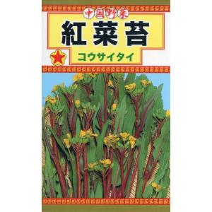 コウサイタイの種　紅菜苔　5ml　品番1895　種子　たね