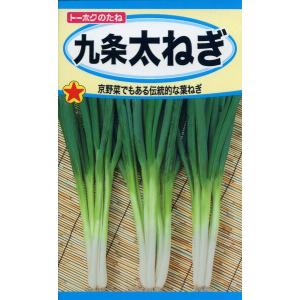 ネギの種 汐止めねぎ 4ml 品番2441 種子 たね : 園芸商人 - 通販