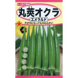オクラの種　丸莢オクラ　エメラルド　7ml　品番2687　種子　たね
