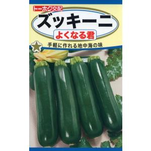 ミックスの種 サラダレタスミックス5 5ml 品番3477 種子 たね : 園芸