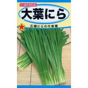 サラダ出品 ミックスの種 サラダレタスミックス5 5ml 品番3477 種子 たね : 園芸