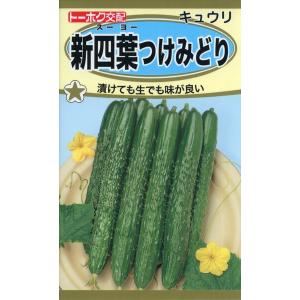メロンの種 ニューメロン 1.5ml 品番2767 種子 たね : 園芸商人 - 通販