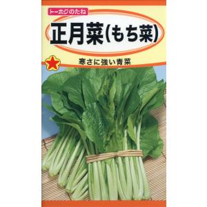 モチナの種　正月菜　もち菜　8ml　品番5071　種子　たね