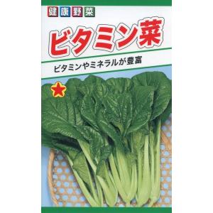 ツケナの種　ビタミン菜　10ml　品番5286　種子　たね