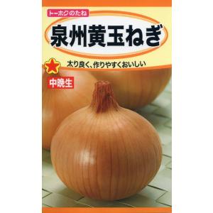 タマネギの種 サラダたまねぎ 6ml 品番8601 種子 たね : 園芸