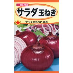 タマネギの種 サラダたまねぎ 6ml 品番8601 種子 たね : 園芸