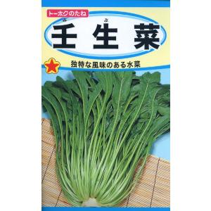 ミズナの種 壬生菜 10ml 品番5231 種子 たねの商品画像