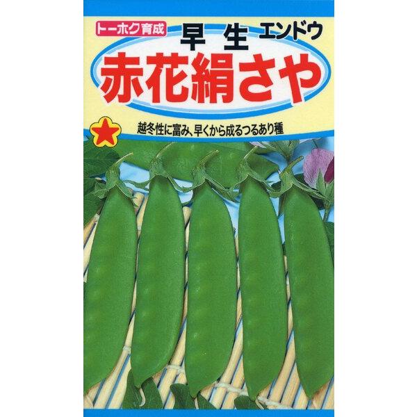 エンドウの種　早生赤花絹さや　30ml　品番6391　種子　たね