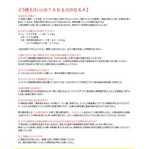 AG 土力 粒状 12kgの詳細画像3