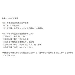 ネコソギトップF粒剤 5kgの詳細画像1