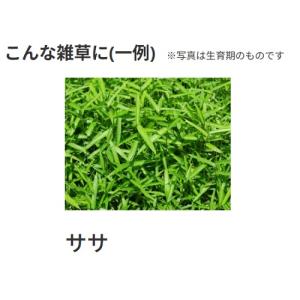 ネコソギトップF粒剤 5kgの詳細画像5