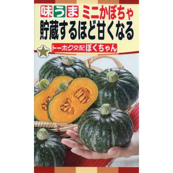 カボチャの種　貯蔵するほど甘くなる　ミニかぼちゃ　ぼくちゃん　3ml　品番3048　種子　たね