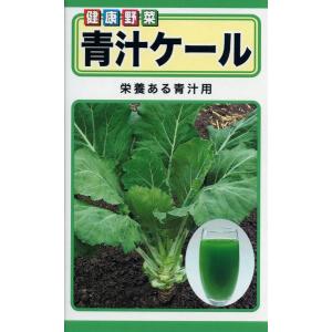 ケールの種　青汁ケール　3ml　品番3308　種子　たね