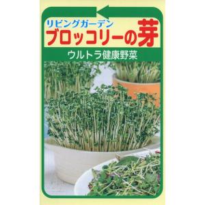 メロンの種 ニューメロン 1.5ml 品番2767 種子 たね : 園芸商人 - 通販