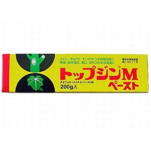ニッソーグリーン トップジンMペースト 200gの商品画像
