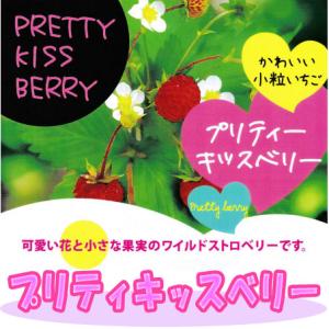 ハーブの苗 26年4月下旬予約 ワイルドストロベリー プリティキッスベリー3号ポット 花がたくさん咲き、実付き抜群となる改良選抜品種