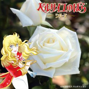 オスカル フランソワの商品一覧 通販 Yahoo ショッピング