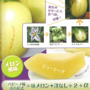野菜の苗 26年4月下旬予約 ペピーノ ゴールドNo.1 3号ポット