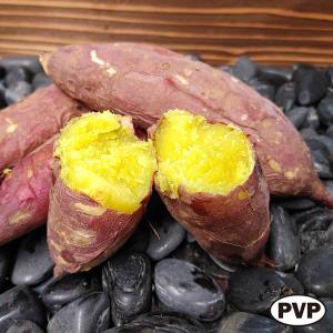 令和8年度切り苗 あまはづき苗 PVP 登録品種 10本 切り苗 : みやび