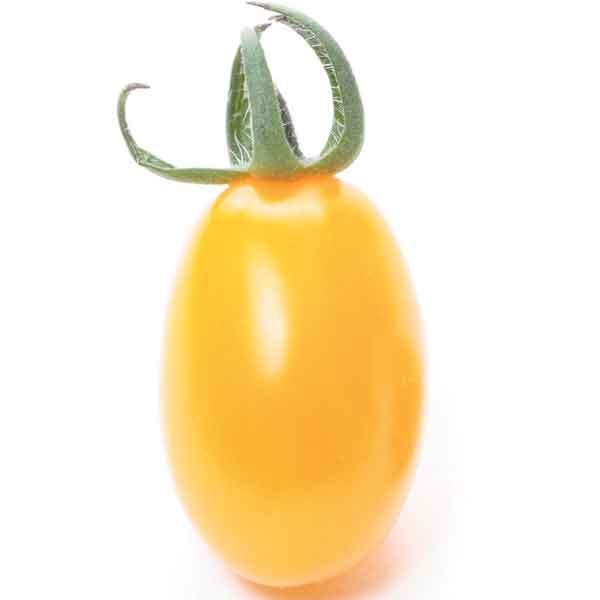 野菜の苗 26年4月下旬予約 ミニトマト メイクスイーツ　パトリシア3号ポット自根苗 サカタのタネ