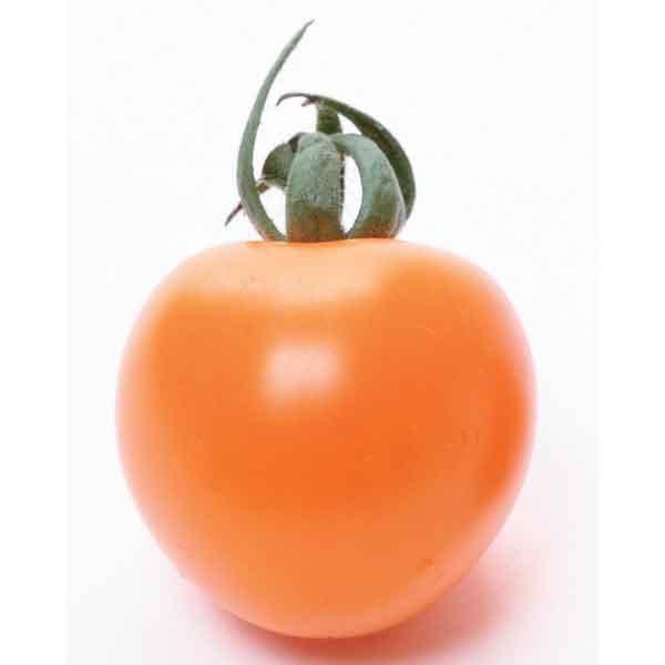 野菜の苗 26年4月下旬予約 ミニトマト メイクスイーツ　アリシア3号ポット自根苗 サカタのタネ