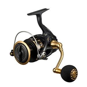 DAIWA（ダイワ） 【目玉商品】ダイワ 23 BG SW 4000D-CXH (2023年