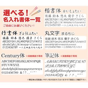 扇子 短地 名入れ無料 雅さくら 単品 /22...の詳細画像3