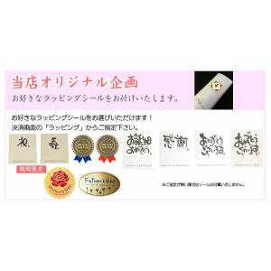 扇子 短地 名入れ無料 雅さくら 単品 /22...の詳細画像4