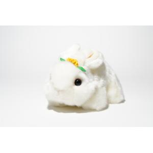 チェブラーシカ 白いチェブラーシカ M ぬいぐるみ : おもちゃのトキワ