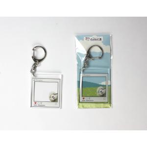 【キーホルダー　ひまり】イングランドの丘 キーホルダー ひまり 羊 ひつじ 動物 かわいい ギフト プレゼント