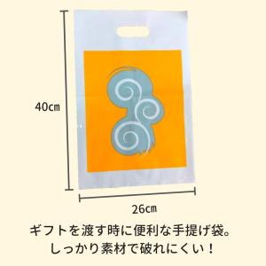 手渡しギフト用 手提げ袋 贈答 手土産 母の日...の詳細画像1