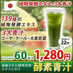 青汁 酵素青汁 国産 3大青汁 抹茶風味 飲みやすい 続けやすい お試し 60包 分包タイプ 大麦若葉 ゴーヤ ケール 安心｜enjoy-home