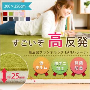 ラグマット ラグ カーペット 高反発 厚さ2cm 防ダニ 抗菌防臭 250×200cm 3畳 三畳 長方形 フランネルラグ