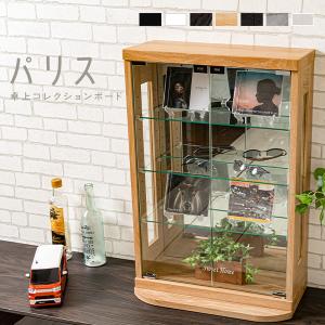 塩川光明堂 コレクションケース カルトーネ スカーラ 1000 BR 