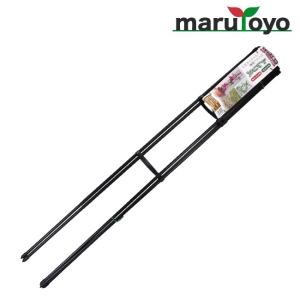 DAIM まきまきトレリス 幅60x高さ180cm