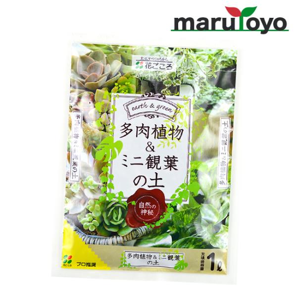 花ごころ 多肉植物＆ミニ観葉の土 1L【土】【肥料】【培養土】【野菜】【花】