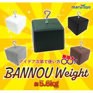 万能ウェイト ノーマル 約5.6kgの詳細画像1