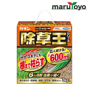 フマキラー オールキラー粒剤 除草王 3KG ケース売り（6本入）【ササ スギナ セイタカアワダチソウ ススキ 農作物 便利】｜enjoy-marutoyo