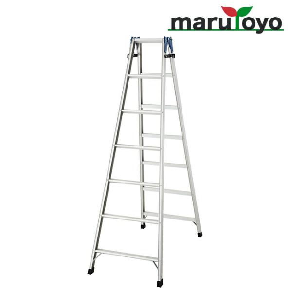 長谷川工業 Hasegawaはしご兼用脚立 RD-21b【法人様向け】【代引き不可】【メーカー直送品...