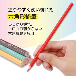 色鉛筆 セット 子供 プレゼント 50色 塗り...の詳細画像4