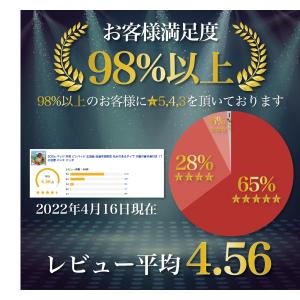 SDGs バッジ 本物 ピンバッジ 正規品 国...の詳細画像2
