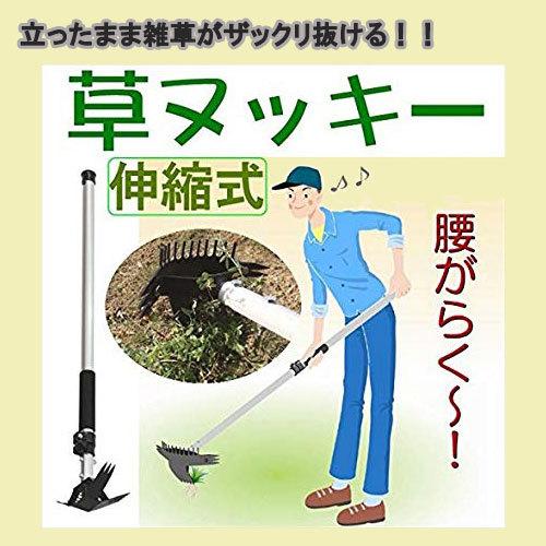 伸縮式草ヌッキー　立ったまま雑草がザックリ抜ける！　雑草　草刈　伸縮　耐久性　花壇　庭　草抜き　手入...