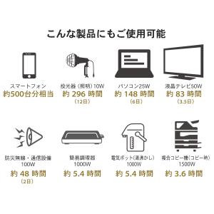 ポータブル蓄電池エナジープロ∞ LB-6000...の詳細画像3