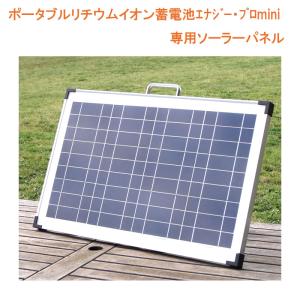 メテックス EVER Bright(エバーブライト) メガパワーステーション＆21W