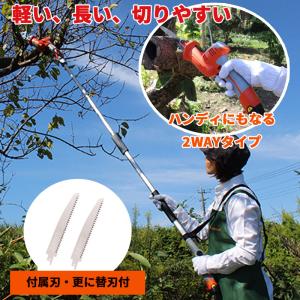 蔵王産業 スピアーサイクロンプロ用 パワーへッド （1個） 電動へッド