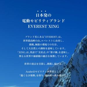 到着後レビューでプレゼント EVEREST X...の詳細画像1